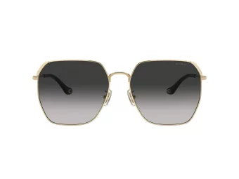Coach Cr638 Sonnenbrille HC 7165D 90053C