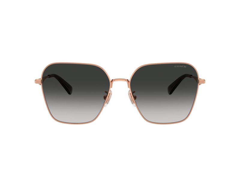 Coach Cw189 Sonnenbrille HC 7168 93313C