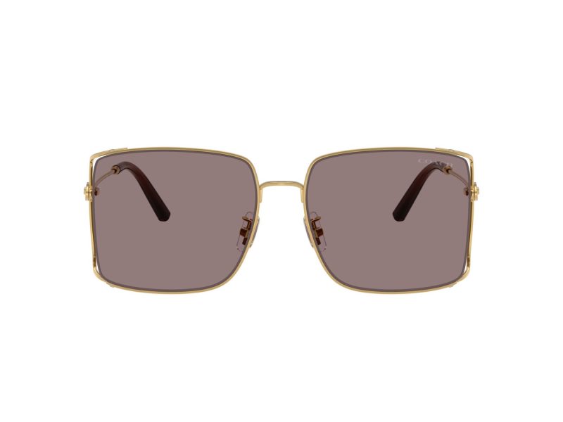 Coach Cw429 Sonnenbrille HC 7174D 94417N
