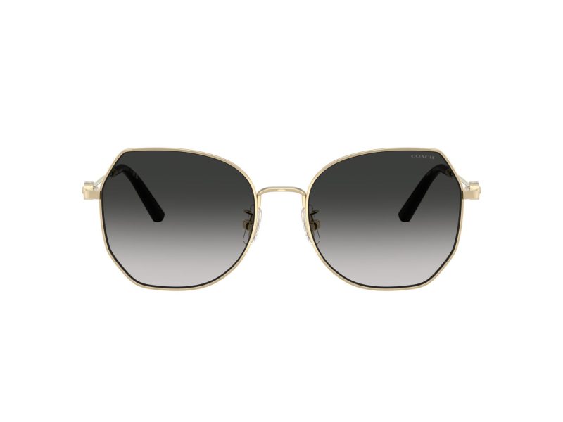 Coach Cad79 Sonnenbrille HC 7175 90053C
