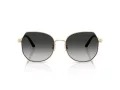 Coach Cad79 Sonnenbrille HC 7175 90053C