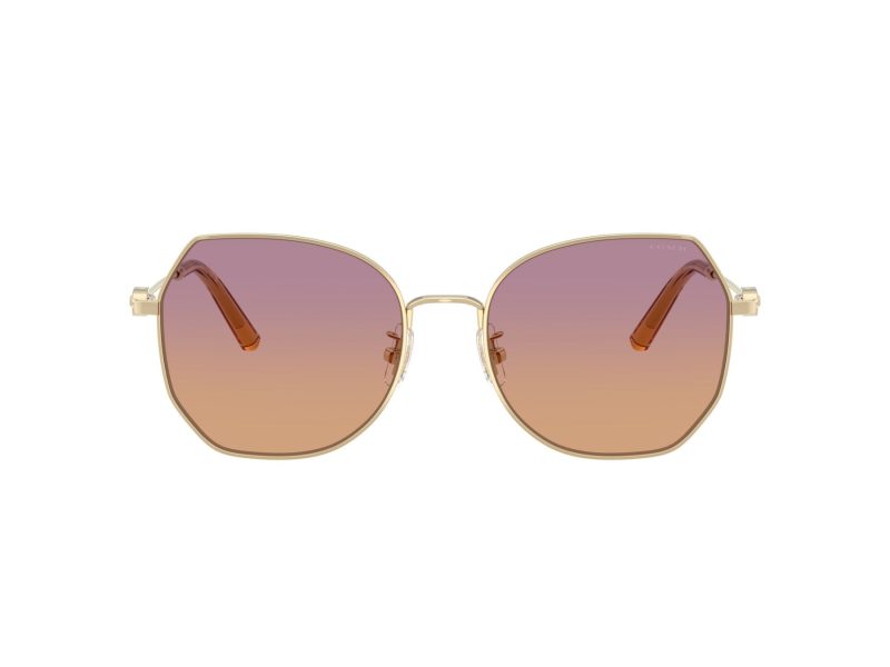 Coach Cad79 Sonnenbrille HC 7175 900578