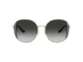 Coach Cad73 Sonnenbrille HC 7176B 90053C
