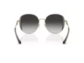 Coach Cad73 Sonnenbrille HC 7176B 90053C