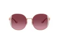 Coach Cad73 Sonnenbrille HC 7176B 93318H