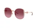 Coach Cad73 Sonnenbrille HC 7176B 93318H