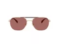 Coach Cae80 Sonnenbrille HC 7178 90050H