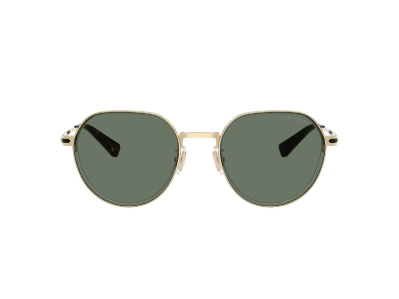 Coach Cae81 Sonnenbrille HC 7179 90053H