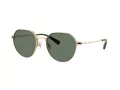 Coach Cae81 Sonnenbrille HC 7179 90053H
