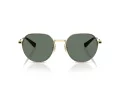 Coach Cae81 Sonnenbrille HC 7179 90053H