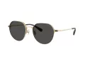 Coach Cae81 Sonnenbrille HC 7179 900587