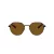 Coach Cae81 Sonnenbrille HC 7179 947183