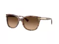 Coach L109 Sonnenbrille HC 8132 528713