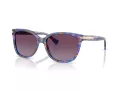 Coach L109 Sonnenbrille HC 8132 52888H