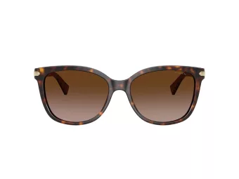 Coach L109 Sonnenbrille HC 8132 529113
