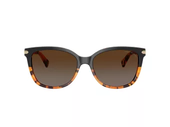 Coach L109 Sonnenbrille HC 8132 5438T5