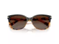 Coach L109 Sonnenbrille HC 8132 5438T5