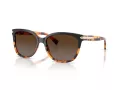 Coach L109 Sonnenbrille HC 8132 5438T5
