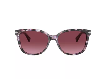 Coach L109 Sonnenbrille HC 8132 55488H