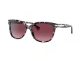 Coach L109 Sonnenbrille HC 8132 55488H