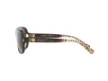 Coach L149 Sonnenbrille HC 8169 535313