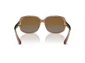 Coach L149 Sonnenbrille HC 8169 5561T5