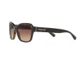 Coach L1010 Sonnenbrille HC 8232 550713