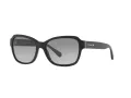 Coach L1010 Sonnenbrille HC 8232 551011