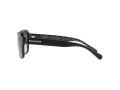 Coach L1010 Sonnenbrille HC 8232 551011