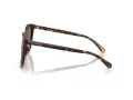 Coach L1101 Sonnenbrille HC 8271U 512073