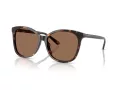 Coach L1101 Sonnenbrille HC 8271U 512073
