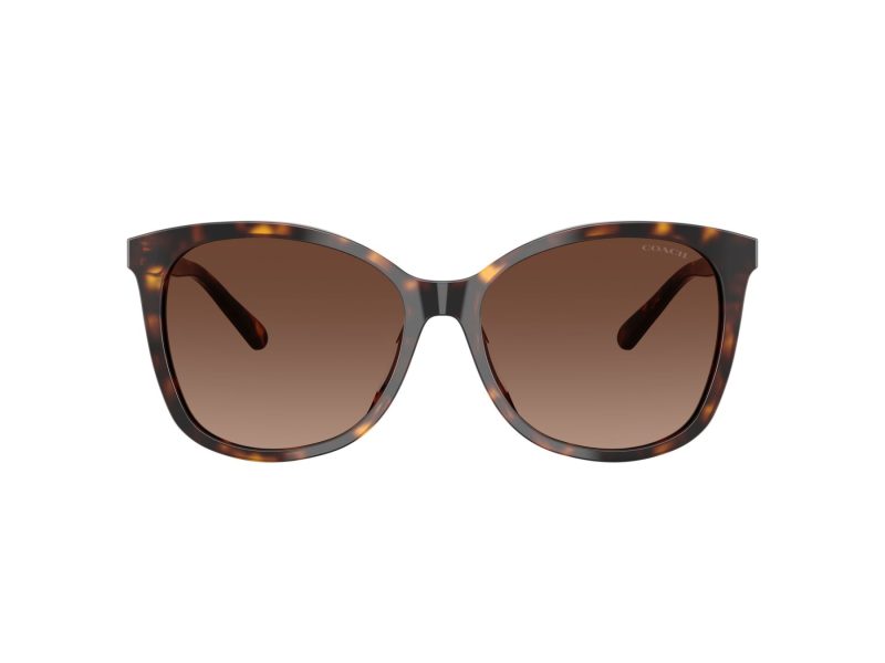 Coach L1101 Sonnenbrille HC 8271U 5120T5
