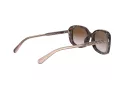 Coach L1114 Sonnenbrille HC 8278 512013