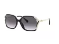 Coach L1116 Sonnenbrille HC 8280U 50028G