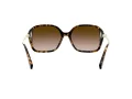 Coach L1116 Sonnenbrille HC 8280U 512013