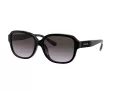 Coach L1153 Sonnenbrille HC 8298U 50028G