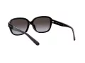Coach L1153 Sonnenbrille HC 8298U 50028G