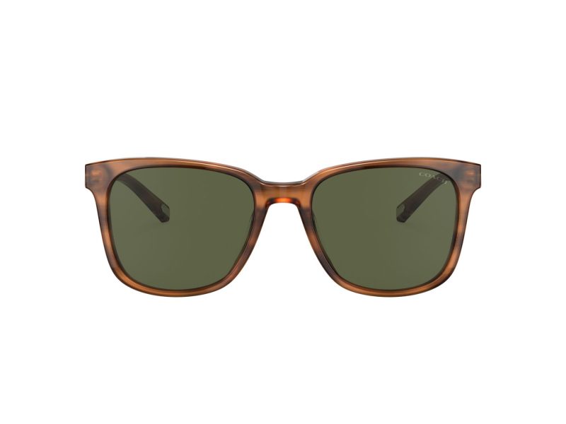 Coach C2095 Sonnenbrille HC 8313U 558171