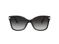 Coach C3446 Sonnenbrille HC 8316 50028G