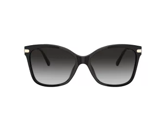 Coach C3446 Sonnenbrille HC 8316 50028G