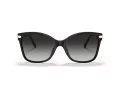 Coach C3446 Sonnenbrille HC 8316 50028G