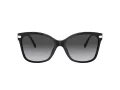 Coach C3446 Sonnenbrille HC 8316 5002T3