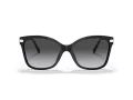 Coach C3446 Sonnenbrille HC 8316 5002T3