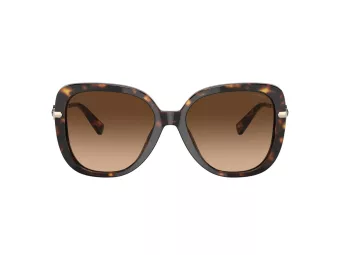 Coach C6180 Sonnenbrille HC 8320 512074