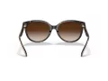 Coach C6181 Sonnenbrille HC 8321 51203B
