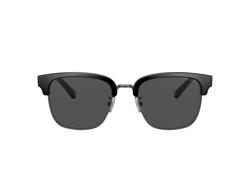 Coach C6194 Sonnenbrille HC 8326 500287