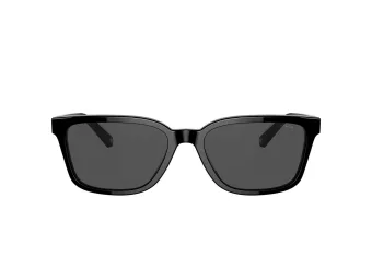 Coach C6196 Sonnenbrille HC 8328U 500287