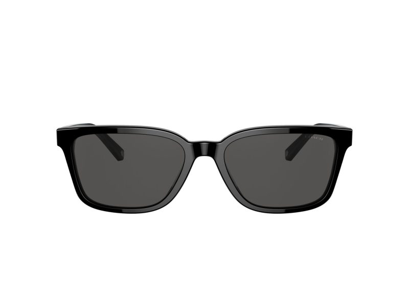 Coach C6196 Sonnenbrille HC 8328U 500287