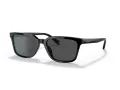 Coach C6196 Sonnenbrille HC 8328U 500287