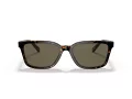 Coach C6196 Sonnenbrille HC 8328U 512003